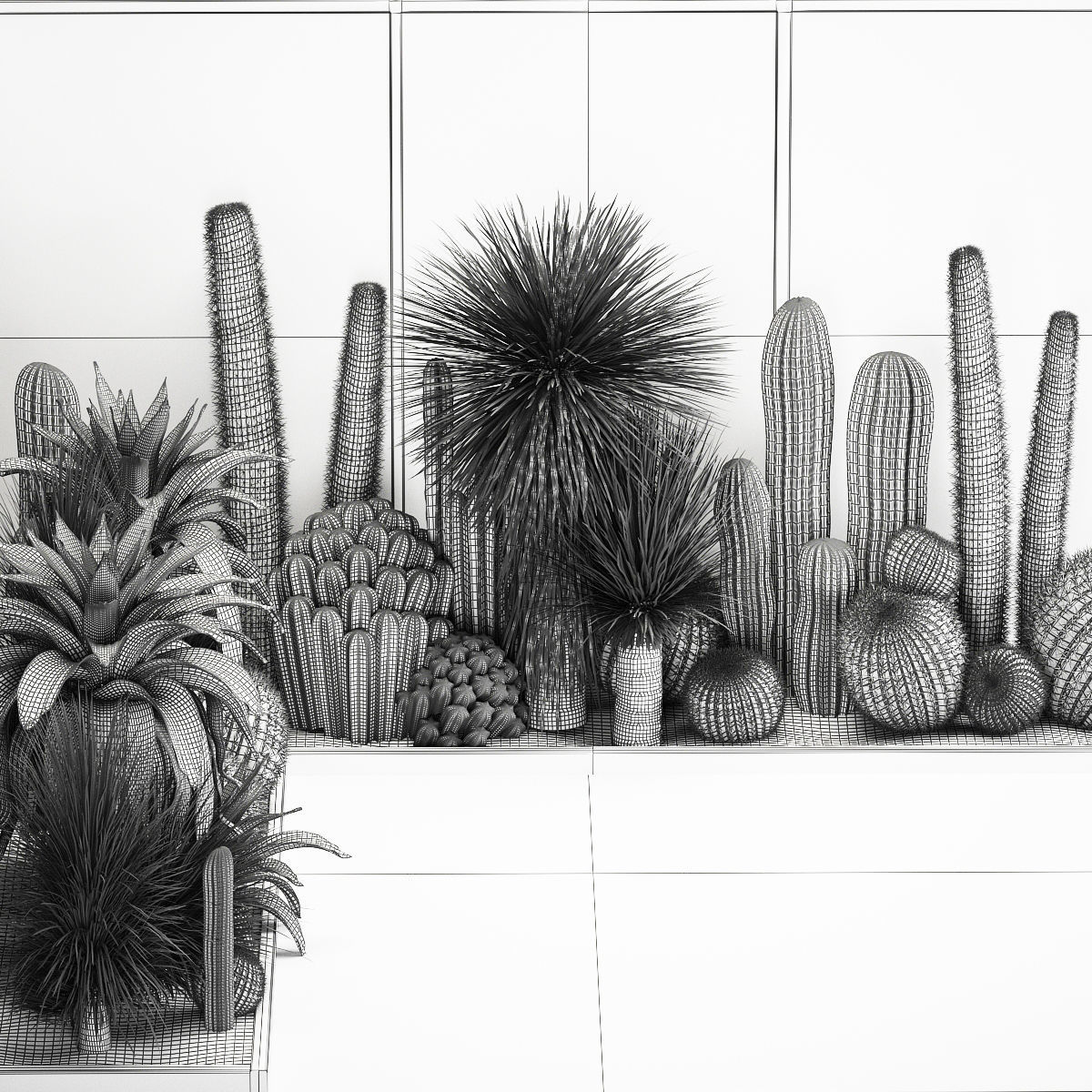 Collection Of Tropical Desert Plants cactus 1126 3D model_8