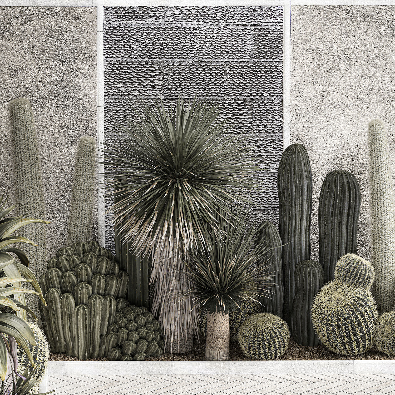 Collection Of Tropical Desert Plants cactus 1126 3D model_4
