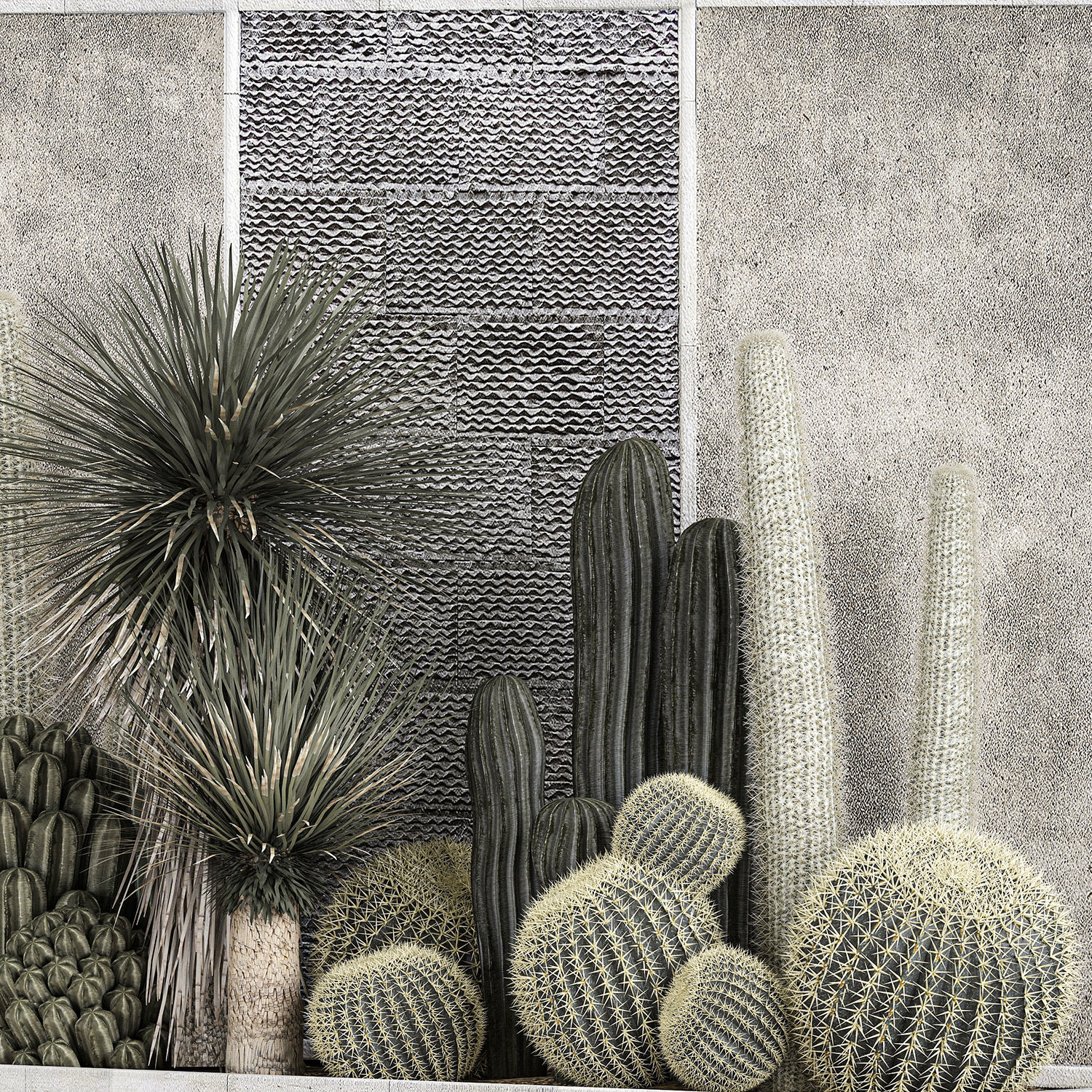 Collection Of Tropical Desert Plants cactus 1126 3D model_6