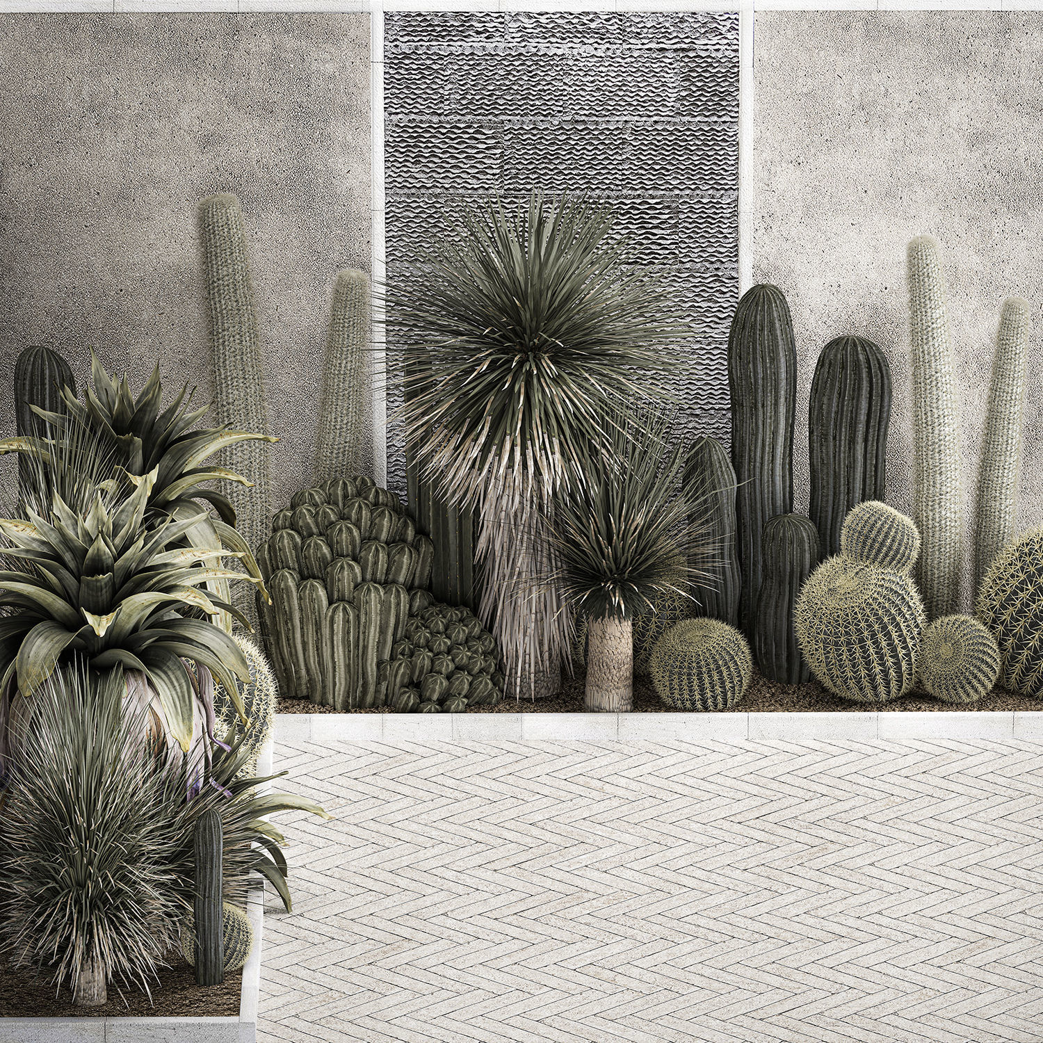 Collection Of Tropical Desert Plants cactus 1126 3D model_1