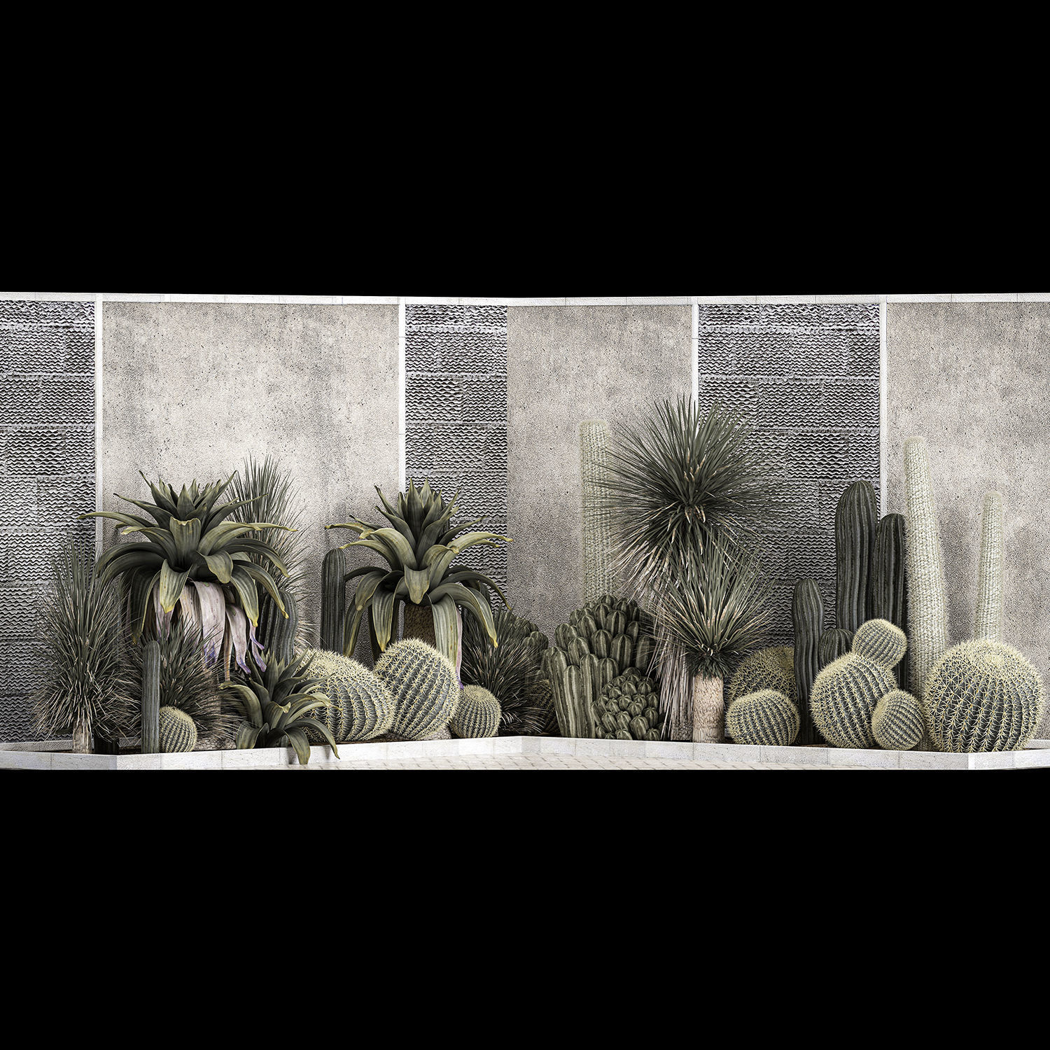 Collection Of Tropical Desert Plants cactus 1126 3D model_2