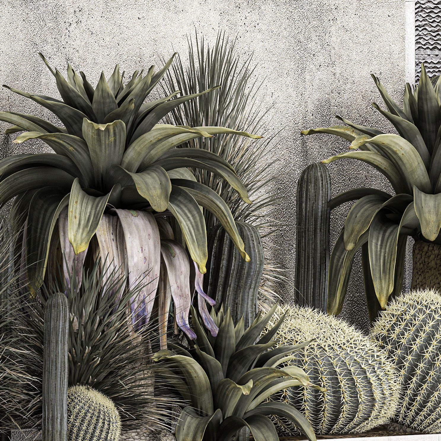 Collection Of Tropical Desert Plants cactus 1126 3D model_7