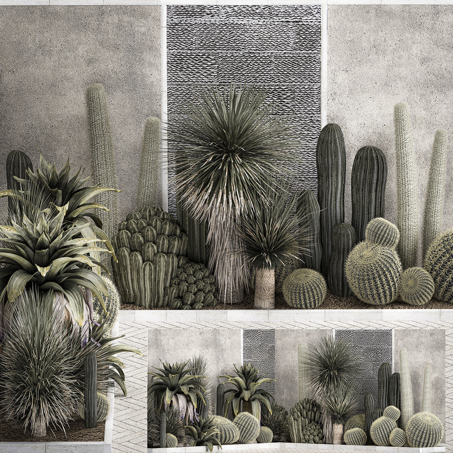 Collection Of Tropical Desert Plants cactus 1126 3D model_3