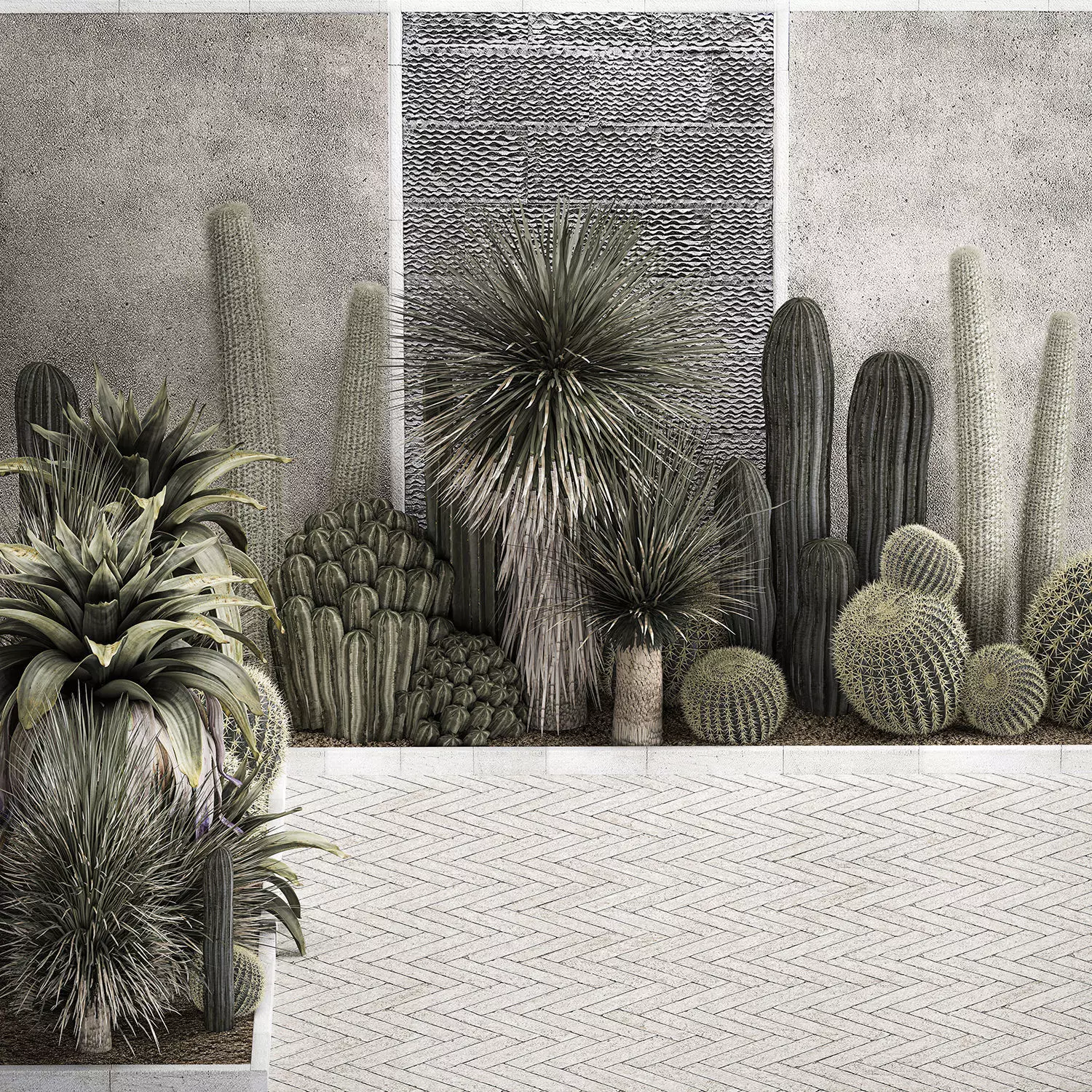 Collection Of Tropical Desert Plants cactus 1127 3D model