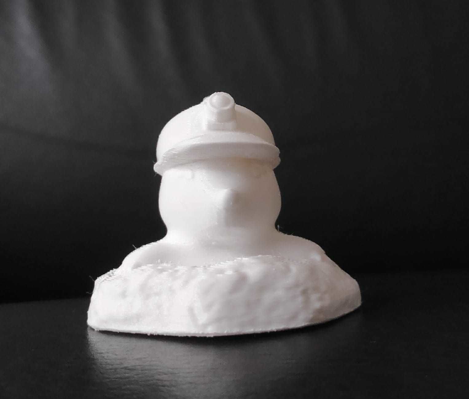 Mole with Helmet 3D print model_11