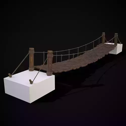 Rustic Wooden Rope Bridge