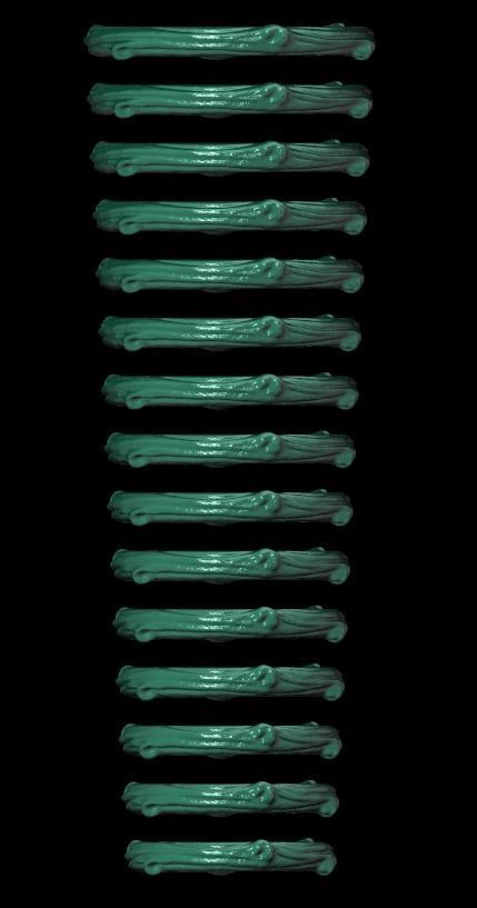 tree wedding male bark ring  and female branch ring 598 3D print model_20
