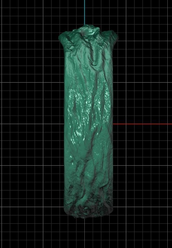 tree wedding male bark ring  and female branch ring 598 3D print model_16