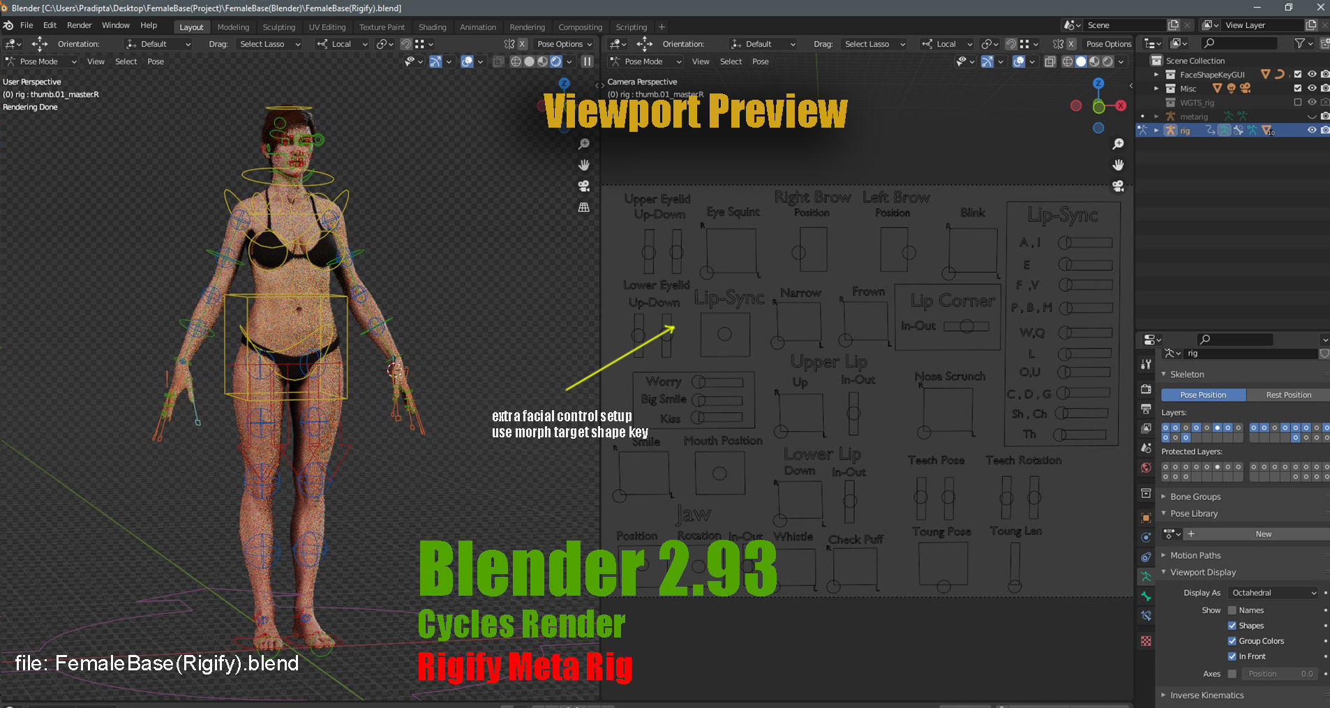 Female Base character Rig Low-poly 3D model_22