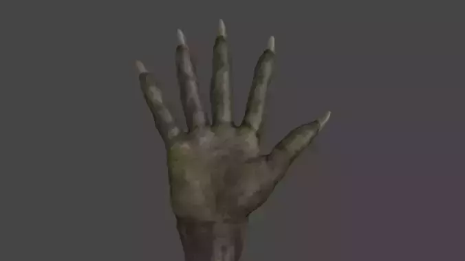 HAND-038 Rigged right hand