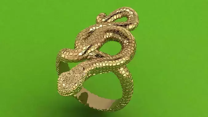 Snake Design ring 
