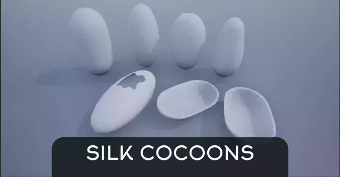 Silk Cocoons