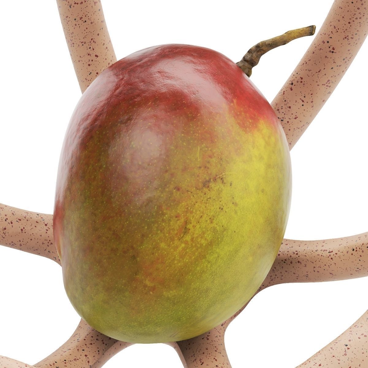 Nested bowl with mango 3D model_4