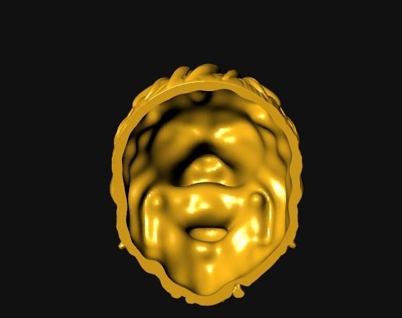 0112 - 3D Lion Face 3D print model_9