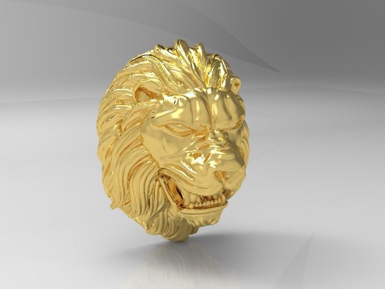 0112 - 3D Lion Face 3D print model_2