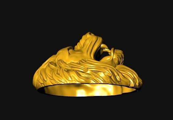 0112 - 3D Lion Face 3D print model_1