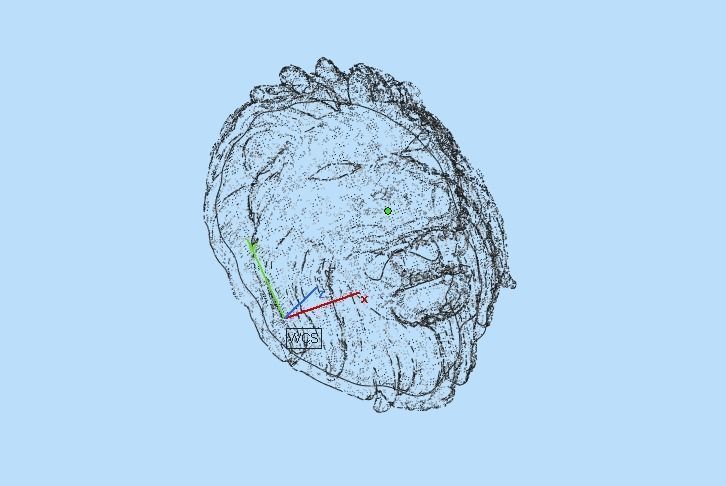 0112 - 3D Lion Face 3D print model_5