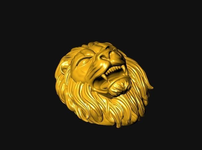 0112 - 3D Lion Face 3D print model_8