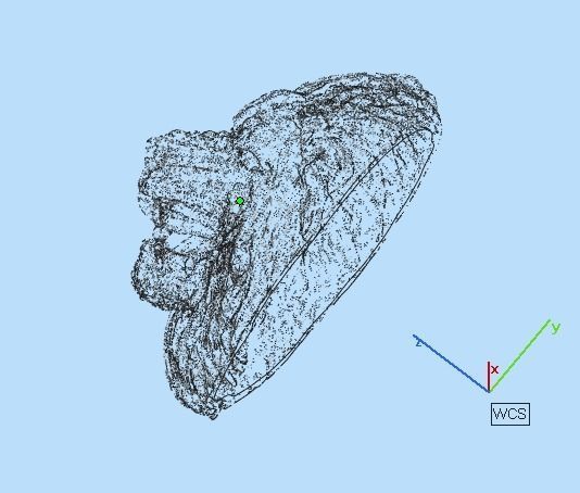 0112 - 3D Lion Face 3D print model_7