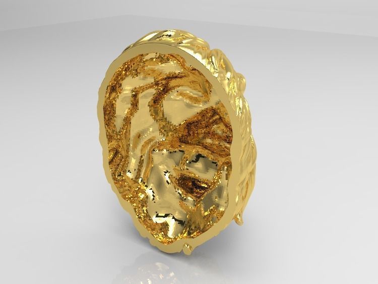 0112 - 3D Lion Face 3D print model_3