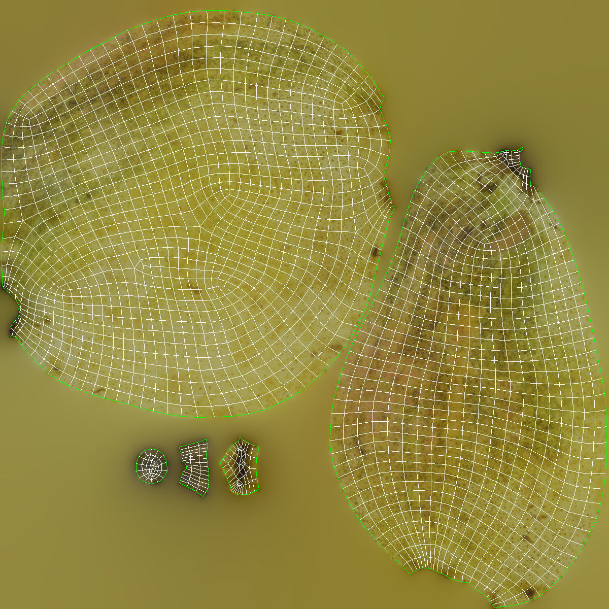 Nested bowl with pears and mango 3D model_12