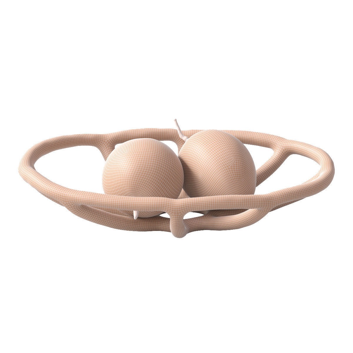 Nested bowl with mango 3D model_8