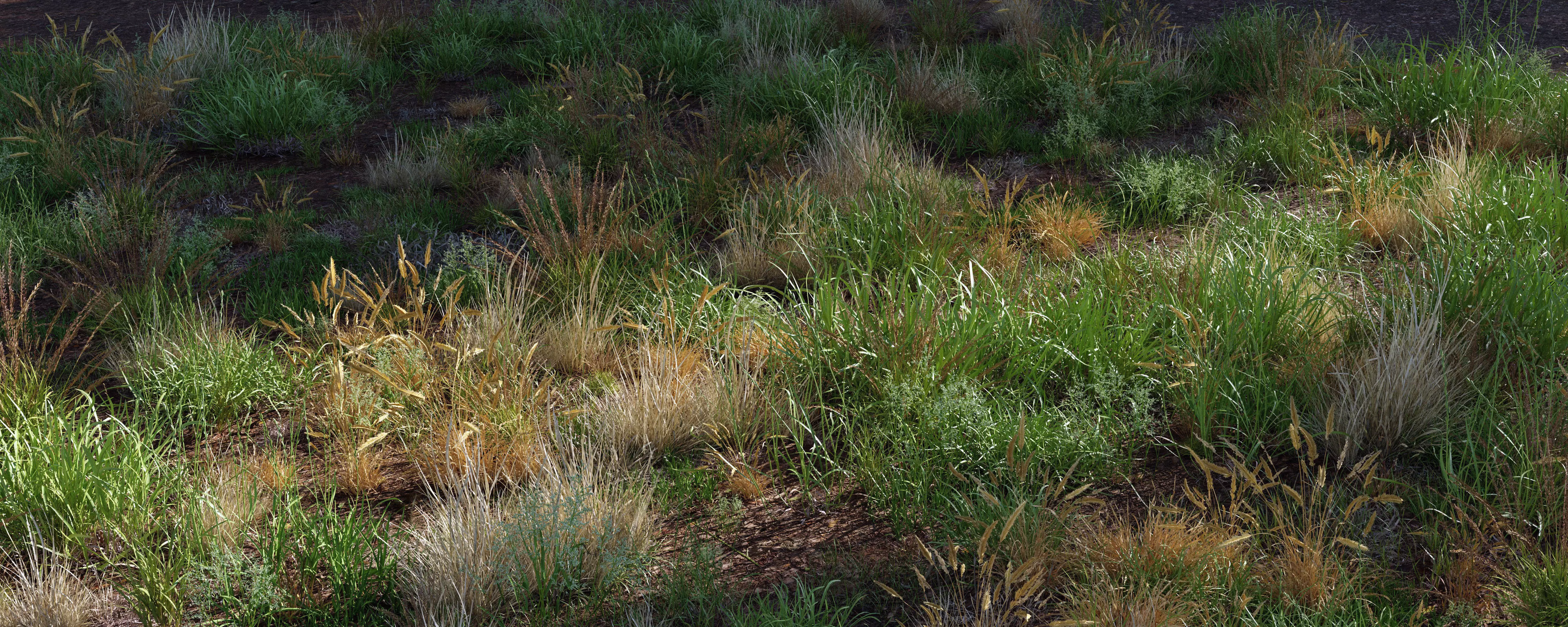 Grass Variety Pack 1 3D model_0