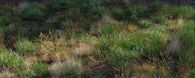 Grass Variety Pack 1 3D model