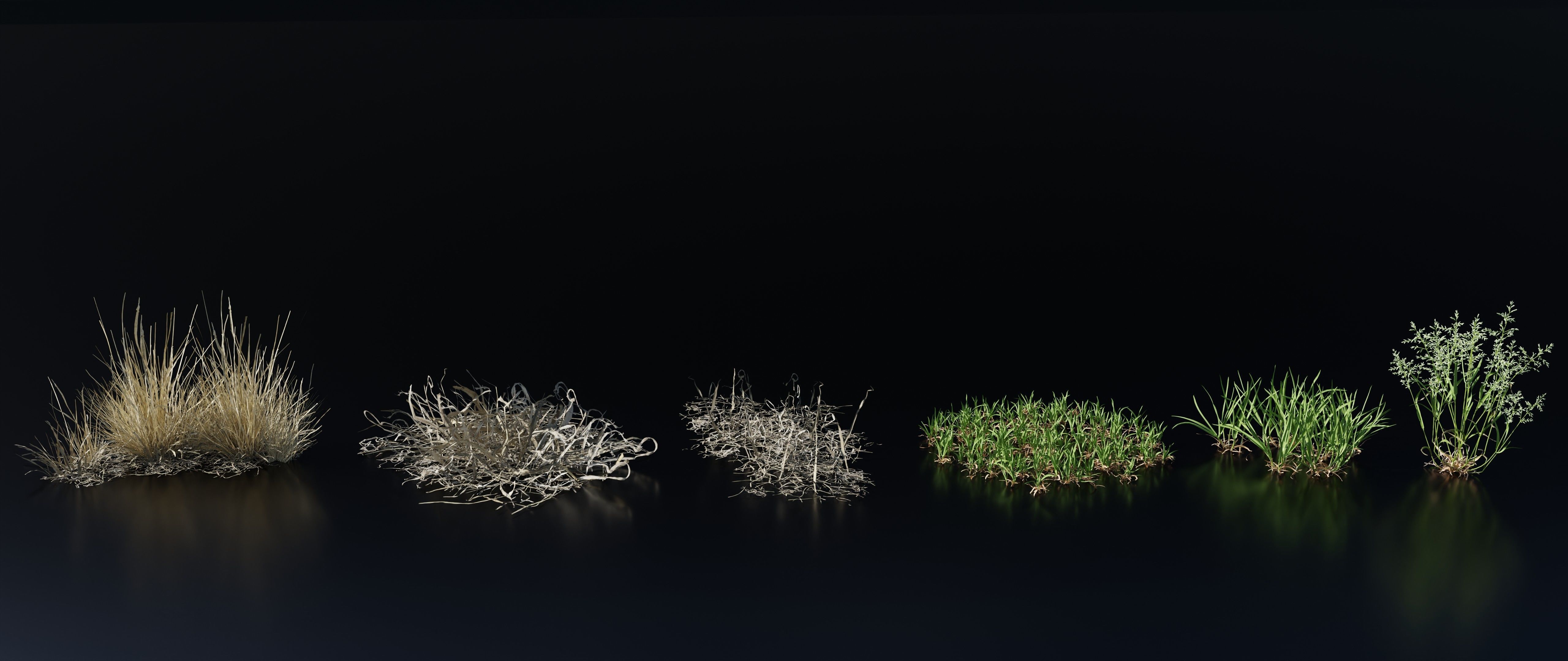 Grass Variety Pack 1 3D model_3