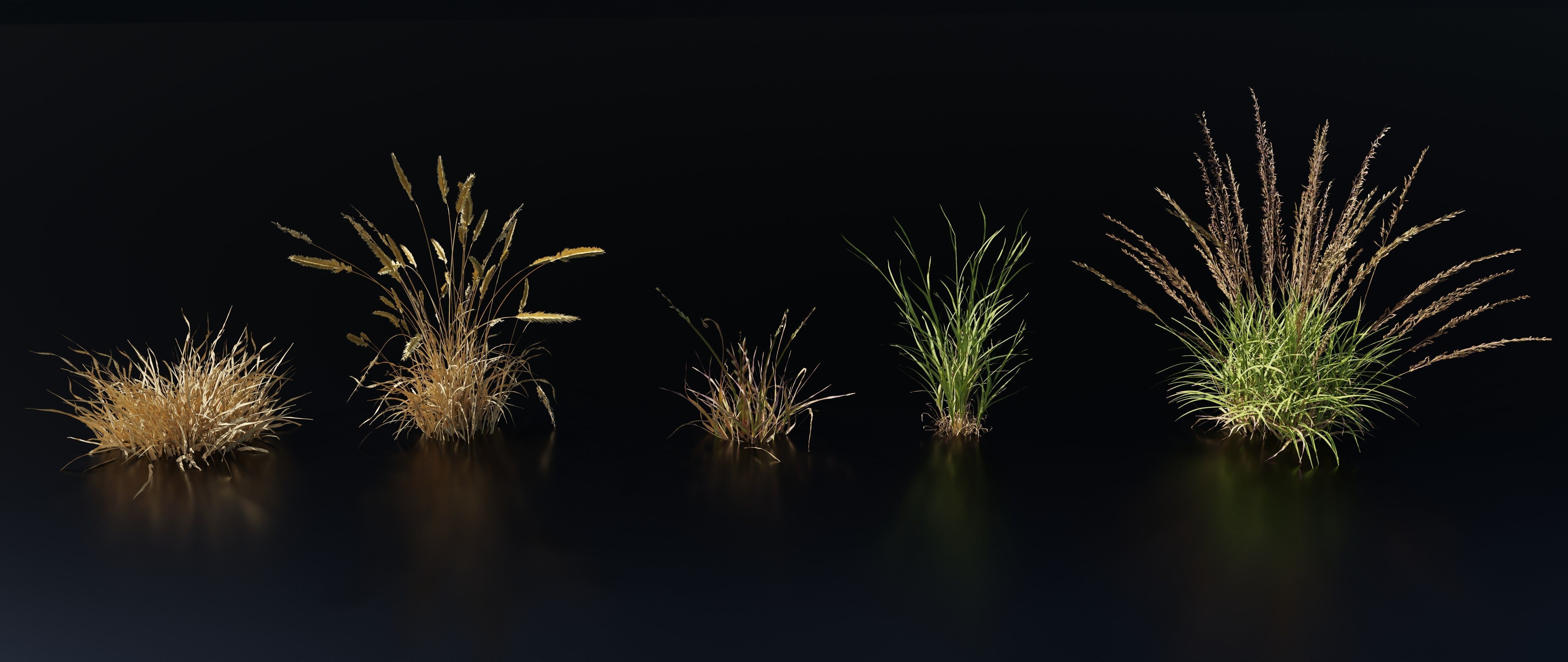 Grass Variety Pack 1 3D model_1
