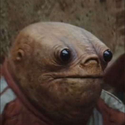 Andor Alien Headsculpt for black series Free 3D print model_1