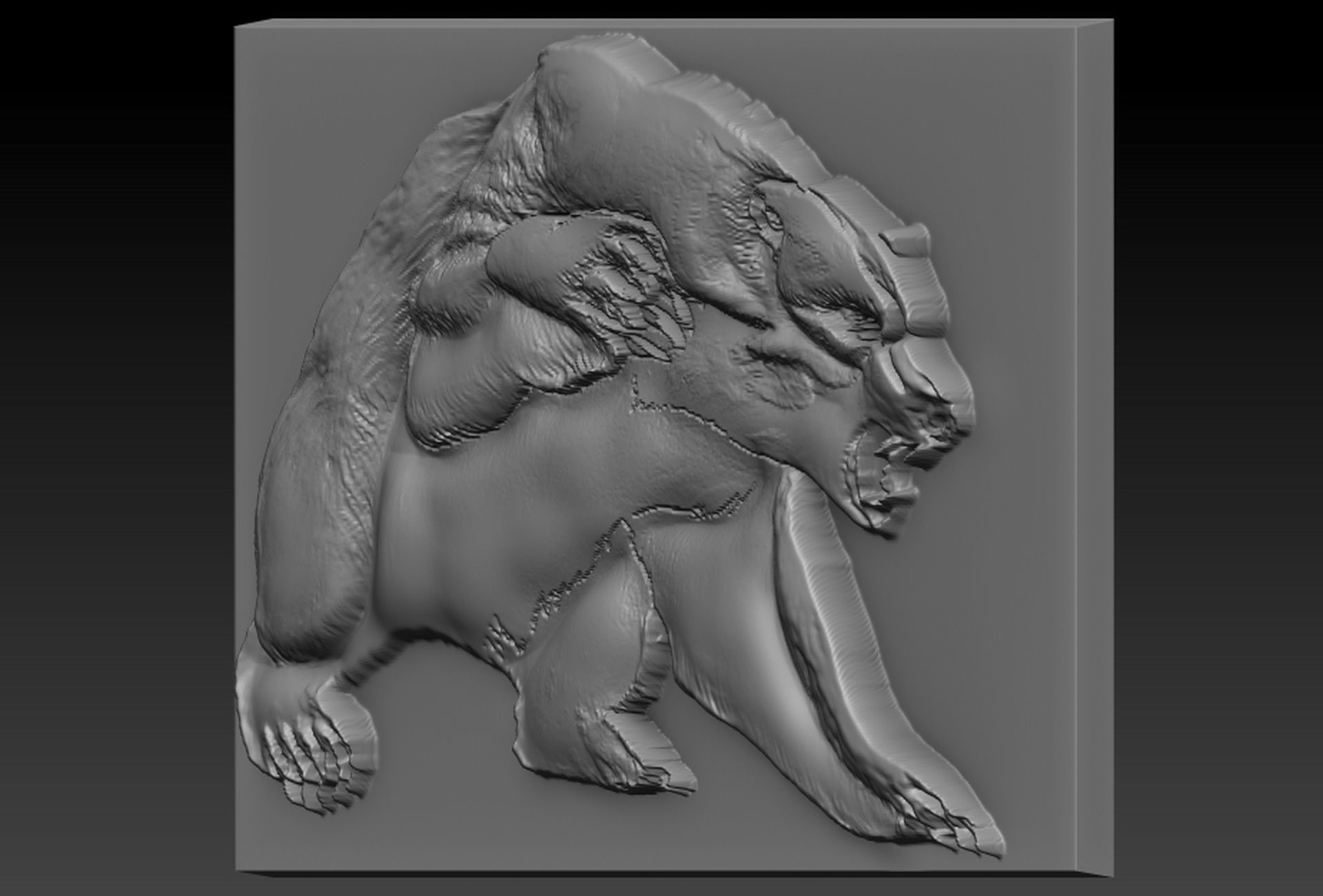 Bearr plate with holes 3D print model_2