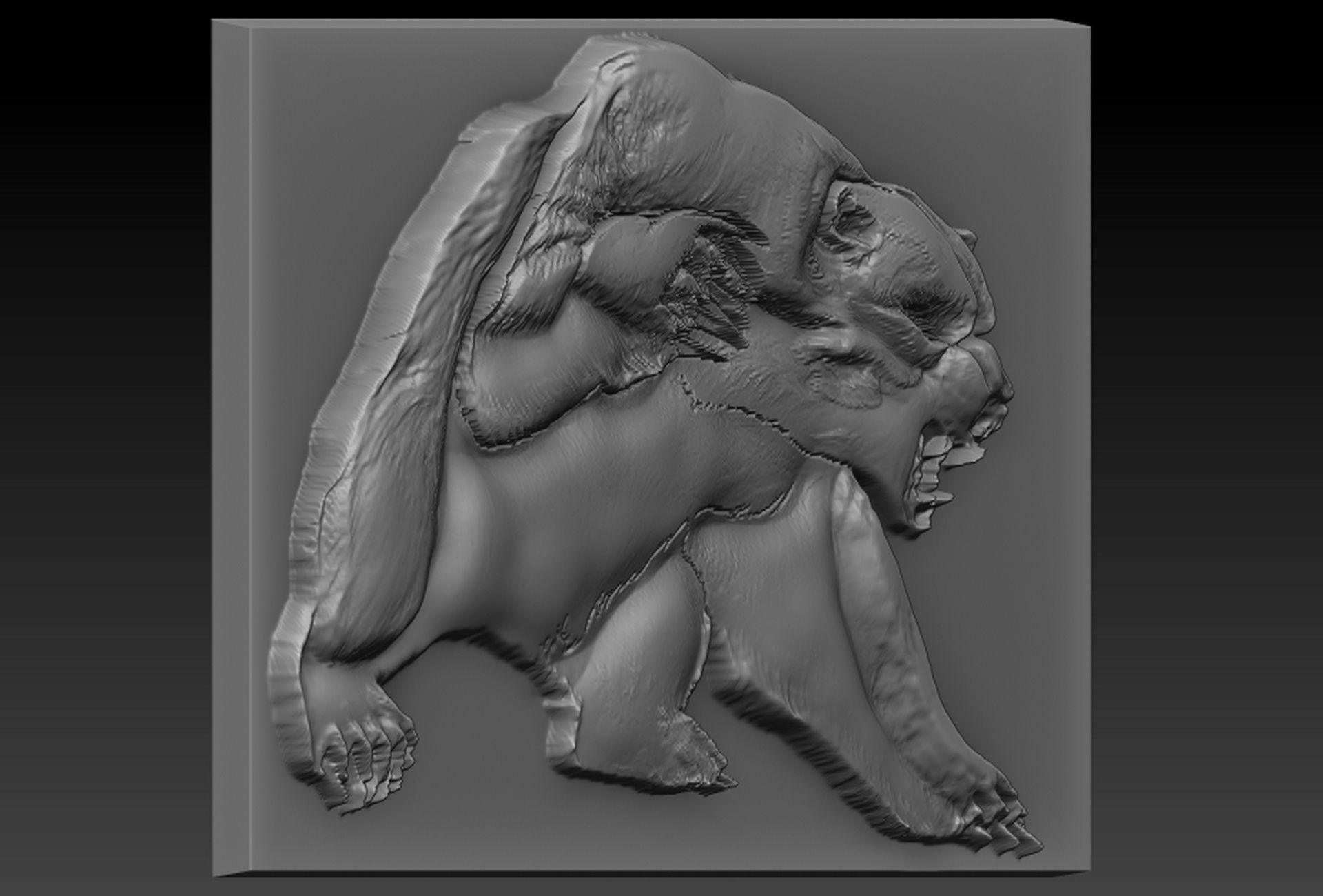 Bearr plate with holes 3D print model_1