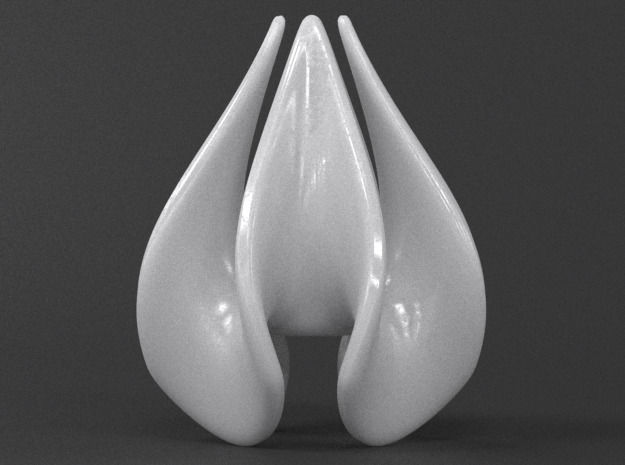 Teardrop Quatrefoil Math Sculpture 3D print model_6