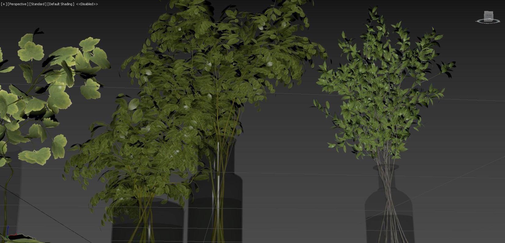 Collection Indoor Plants 029 3D model_9