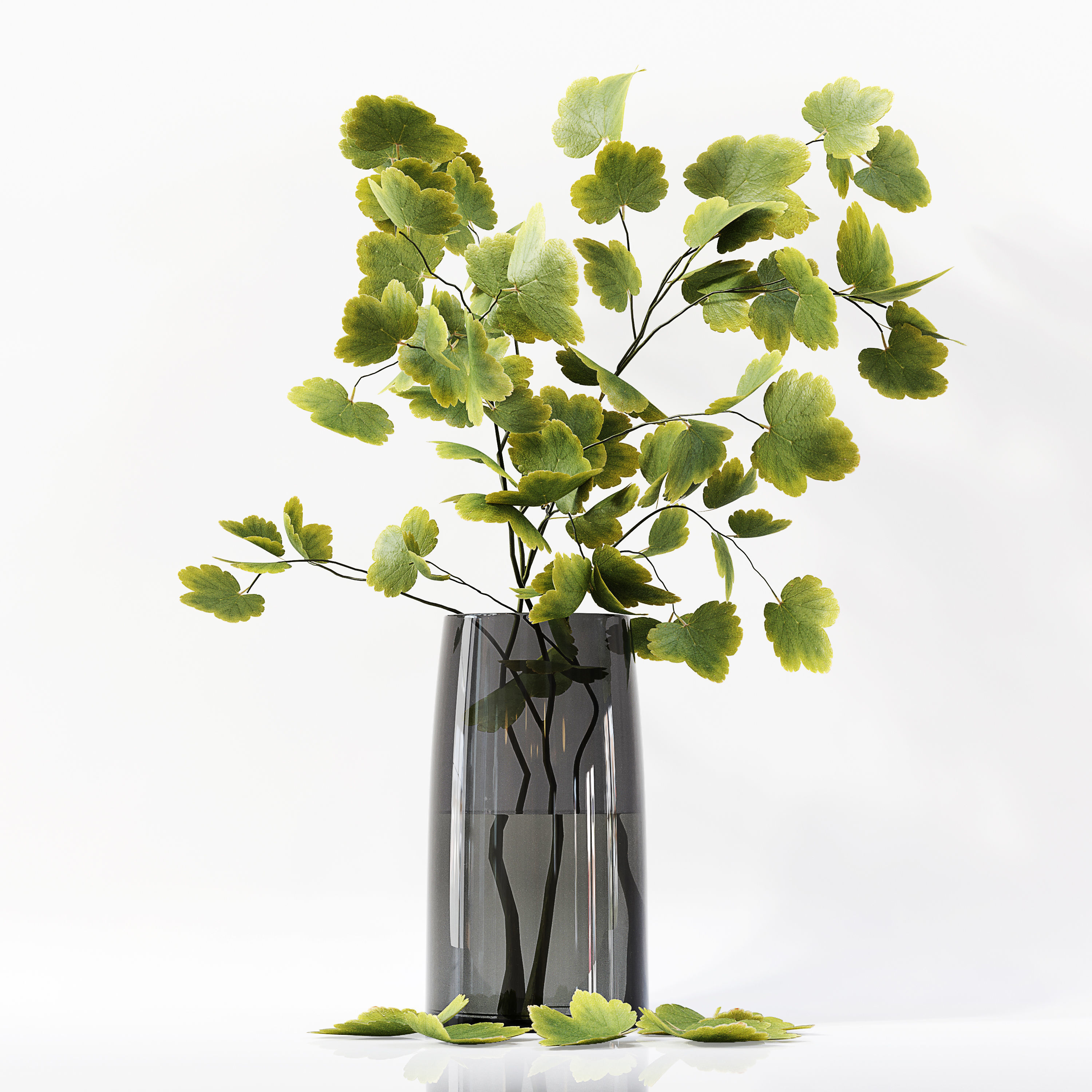 Collection Indoor Plants 029 3D model_11
