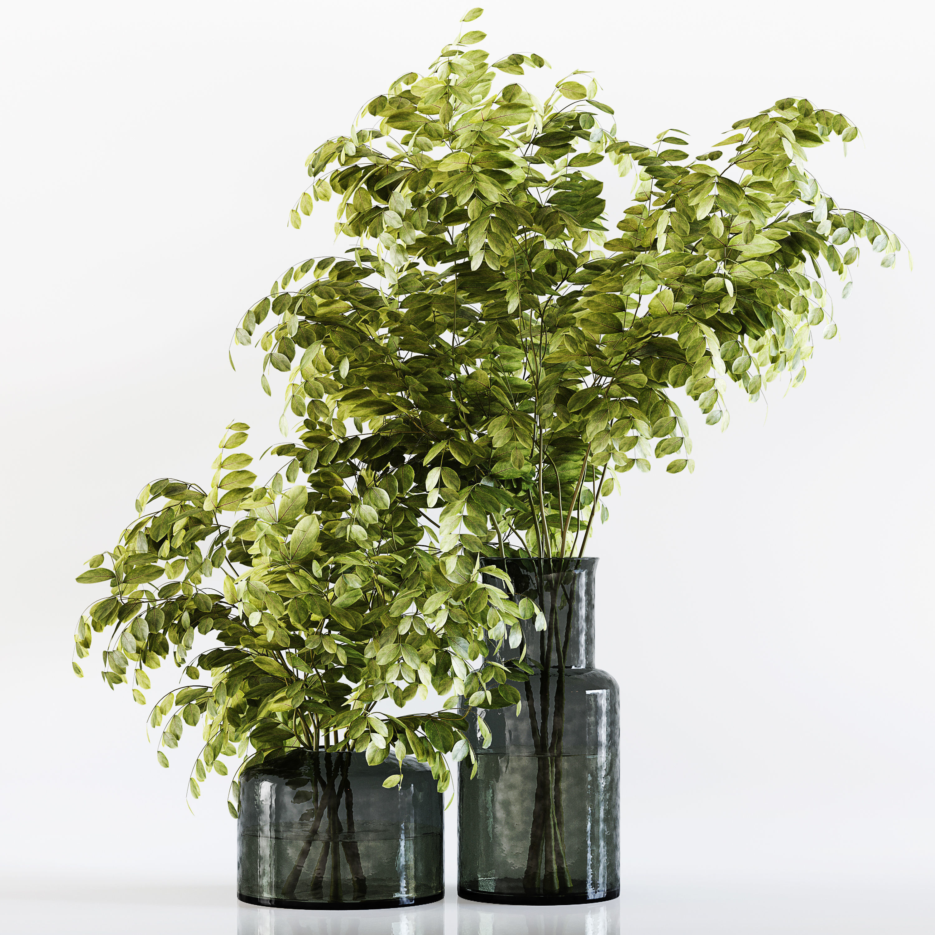 Collection Indoor Plants 029 3D model_13