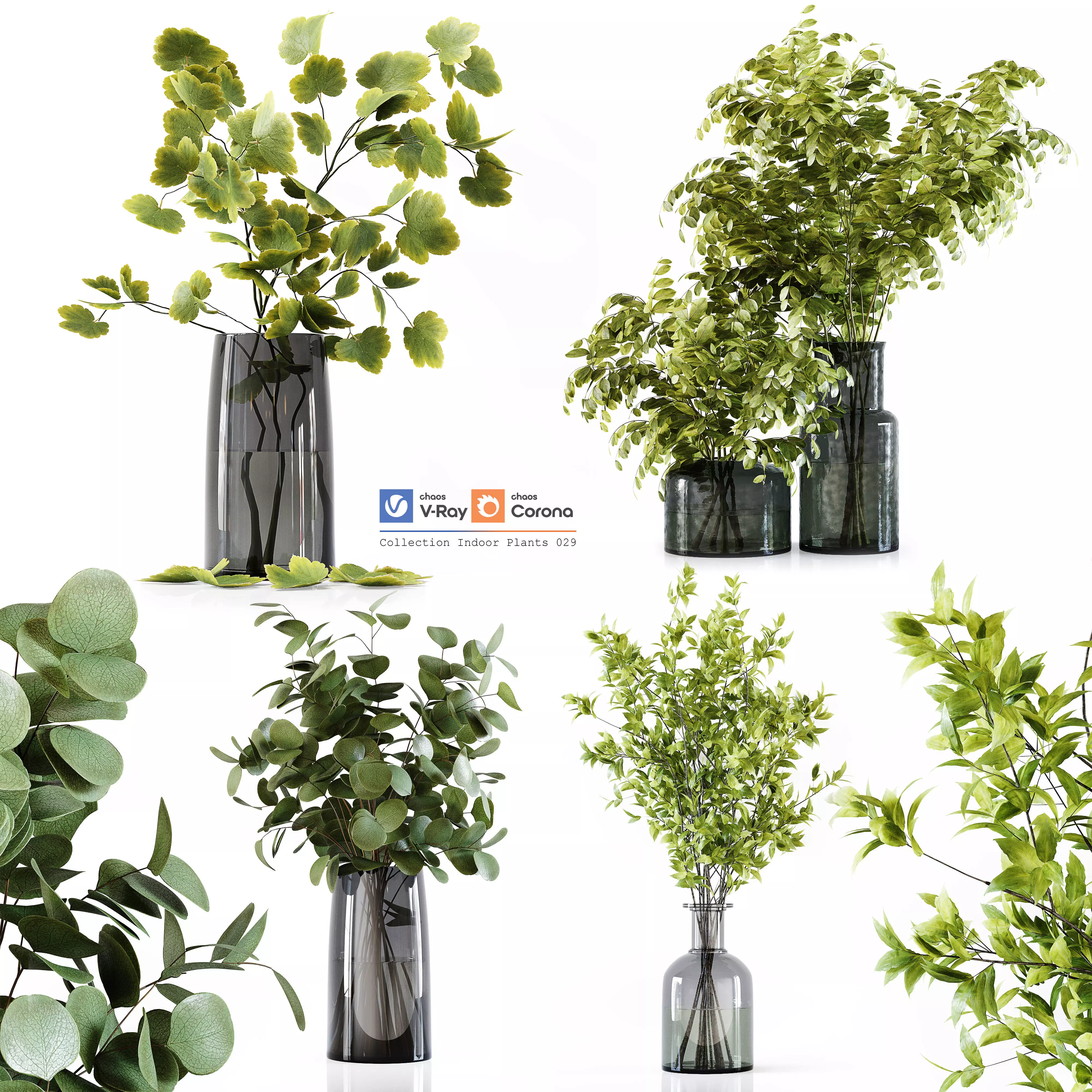 Collection Indoor Plants 029 3D model_0