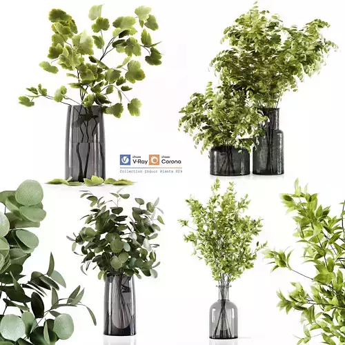 Collection Indoor Plants 029 3D model