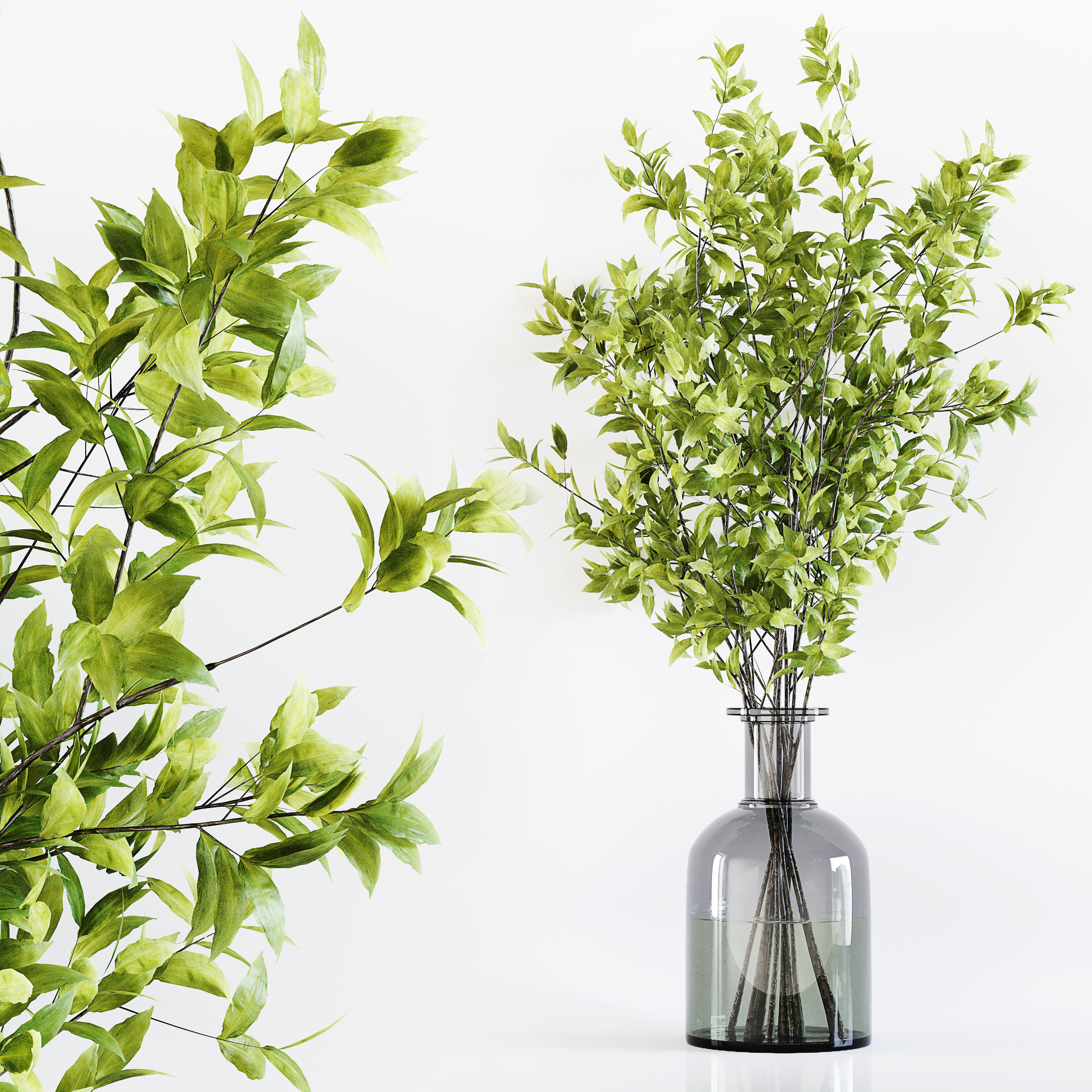 Collection Indoor Plants 029 3D model_3