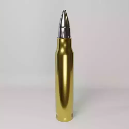 M16 Bullet