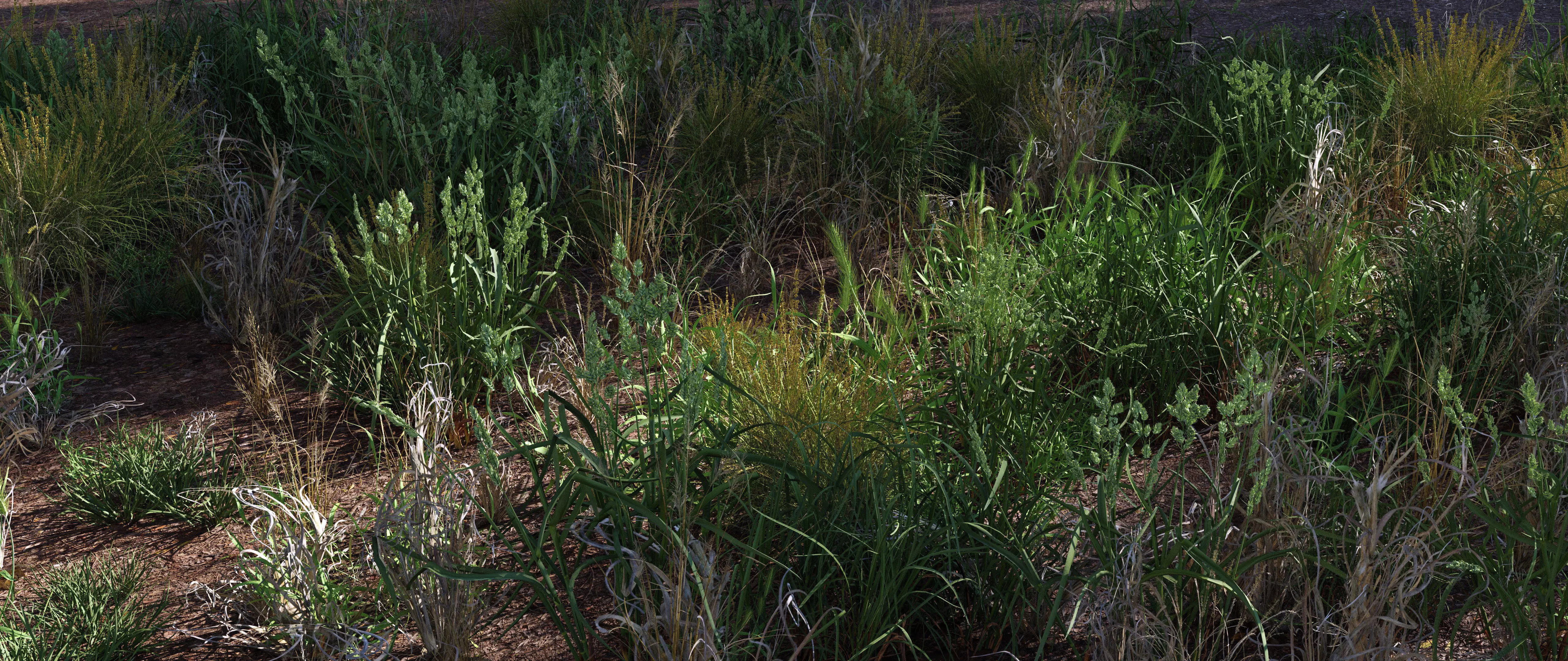 Grass Variety Pack 2 3D model_0