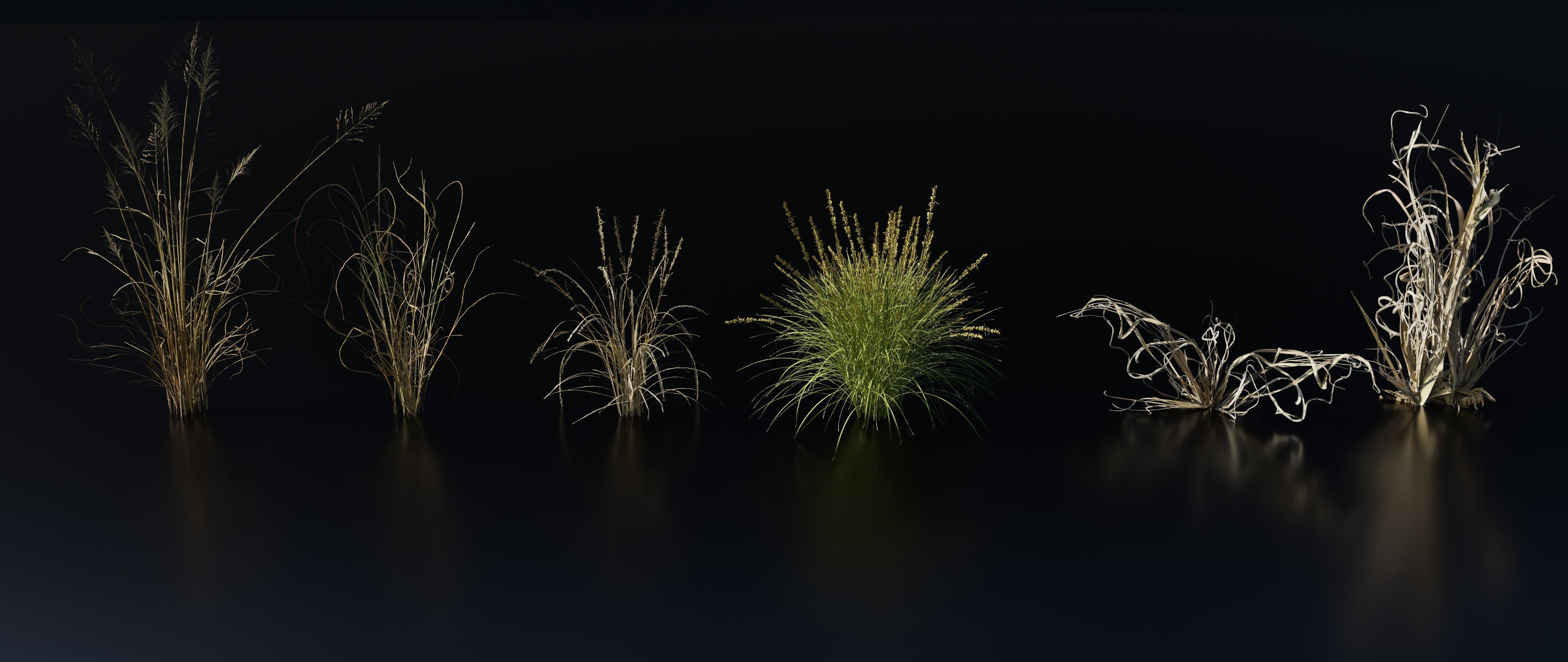 Grass Variety Pack 2 3D model_2