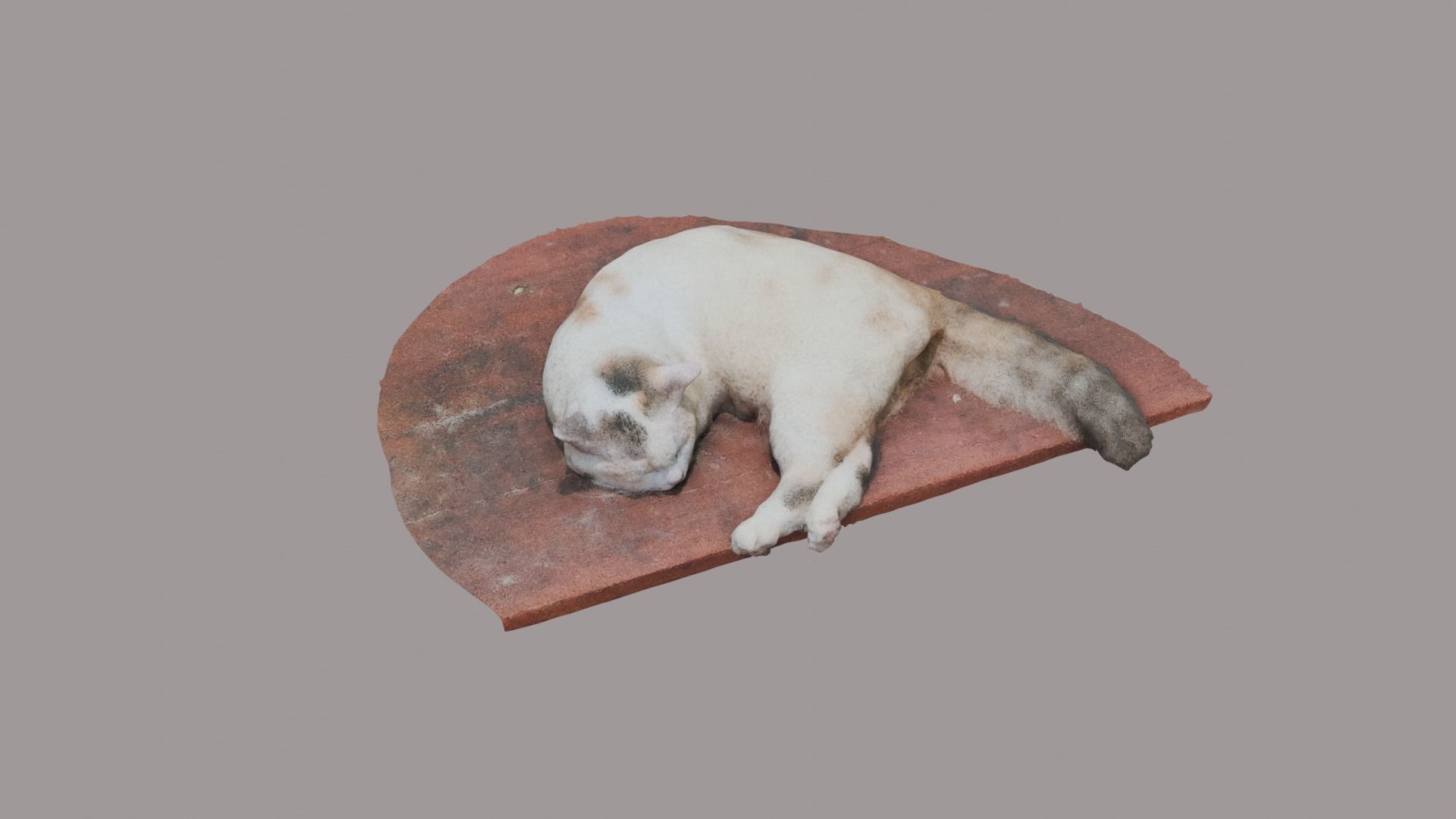 a sleeping cat 3d scanning Free low-poly 3D model_1