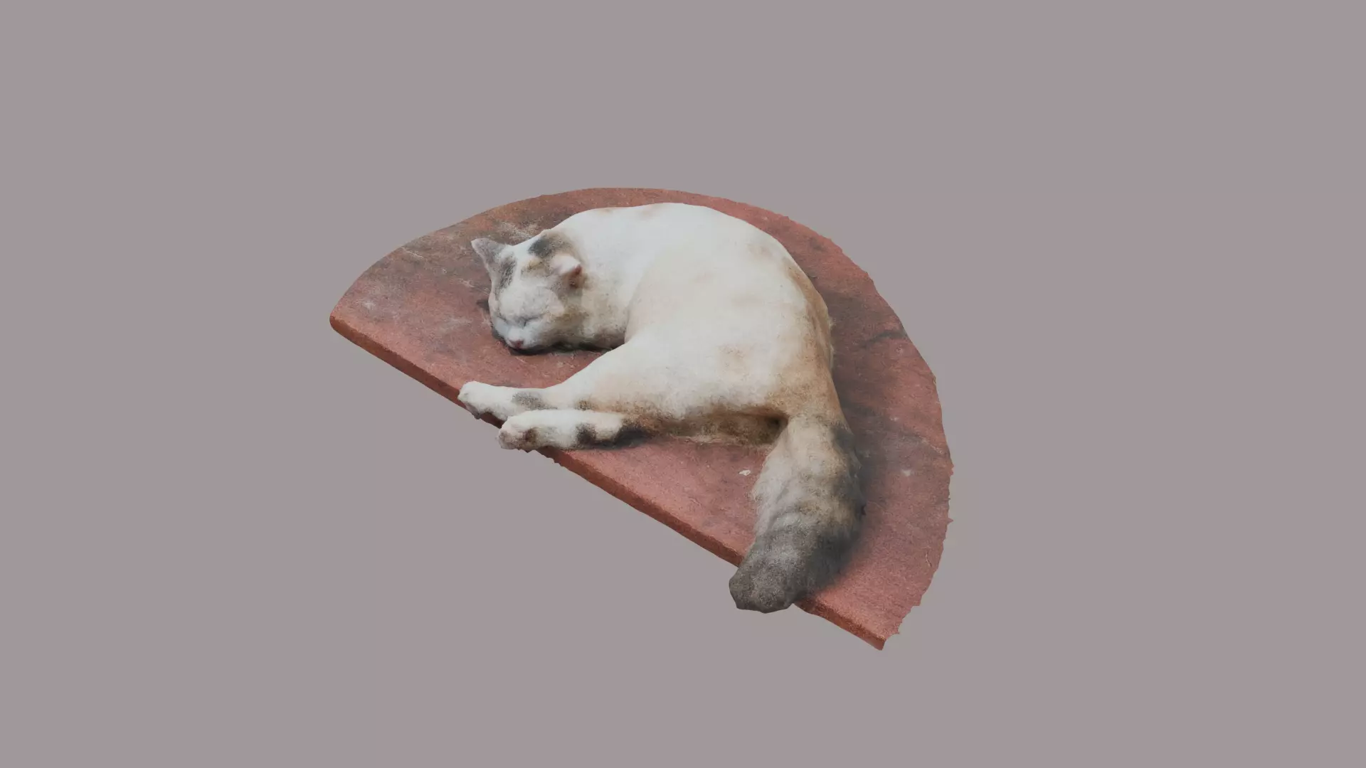 a sleeping cat 3d scanning Free low-poly 3D model_0