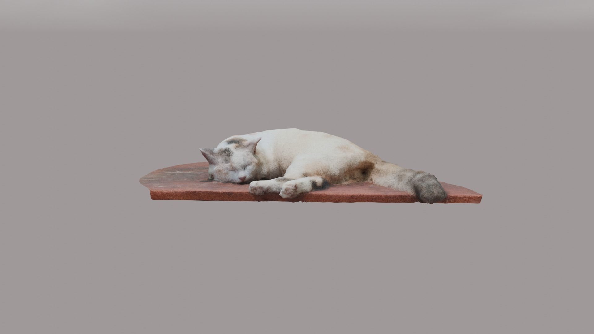 a sleeping cat 3d scanning Free low-poly 3D model_2
