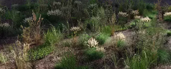 Grass Variety Pack 3