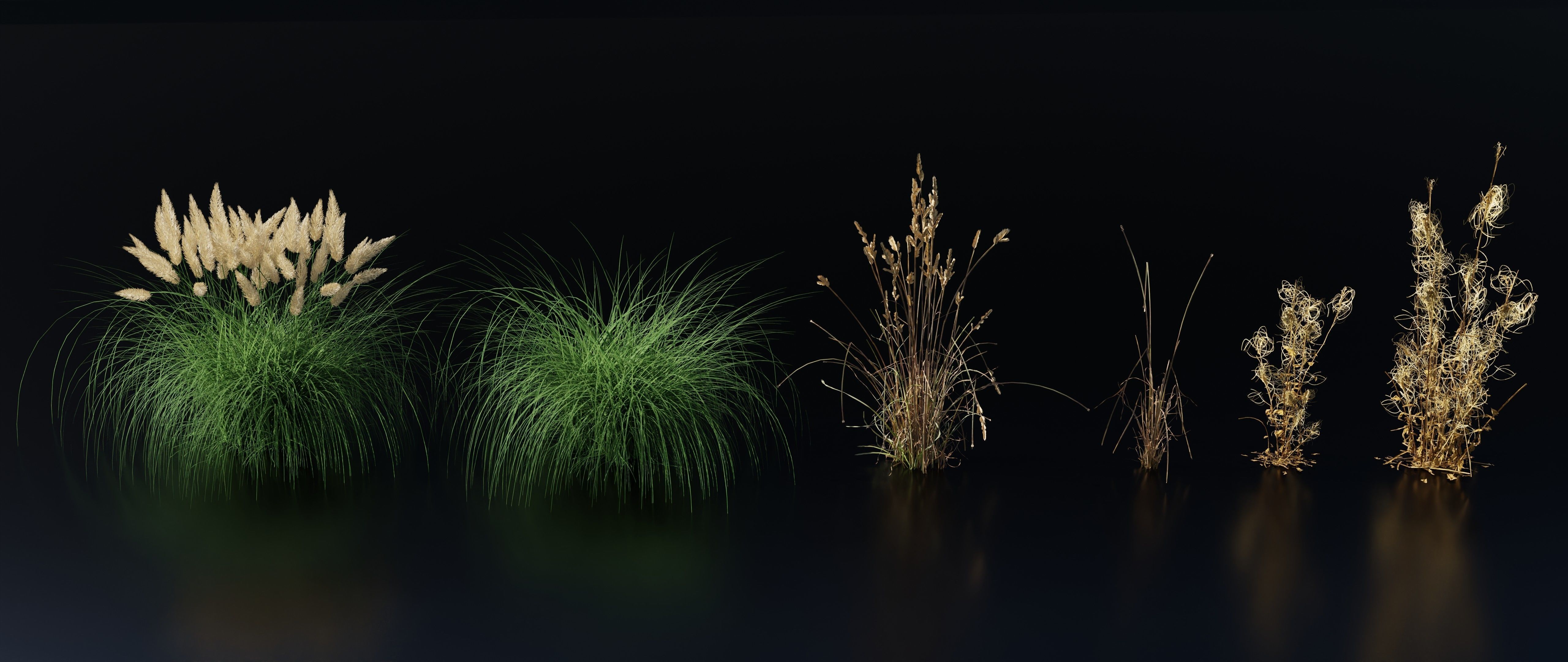 Grass Variety Pack 3 3D model_1
