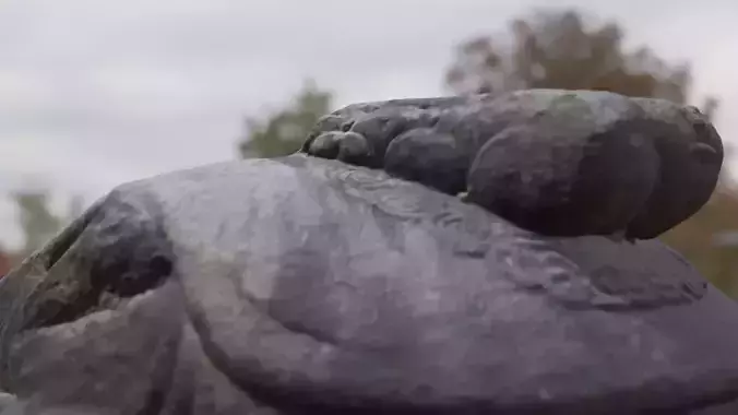 Godalsa Temple Site Turtle Shaped Pedestal