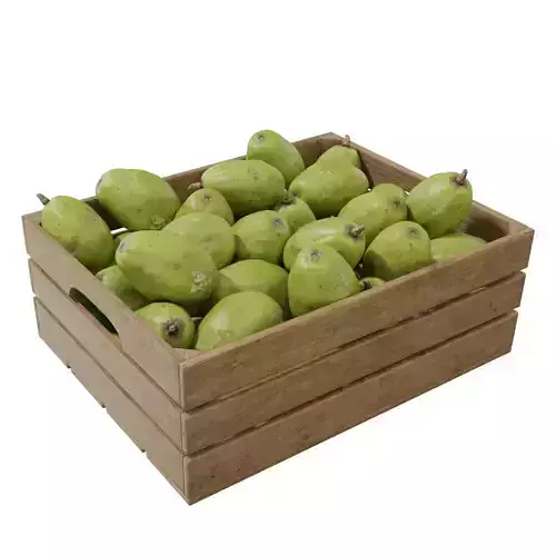ambarella crates 3D model